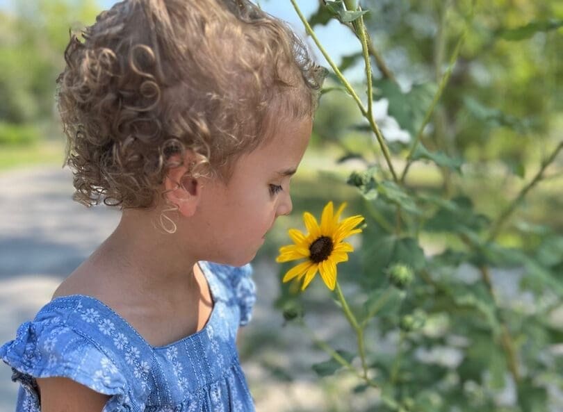 Penny Flowers